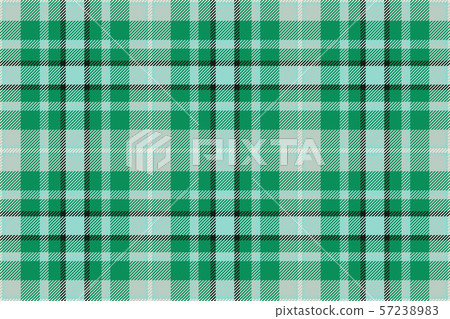 Tartan scotland seamless plaid pattern vector. 57238983
