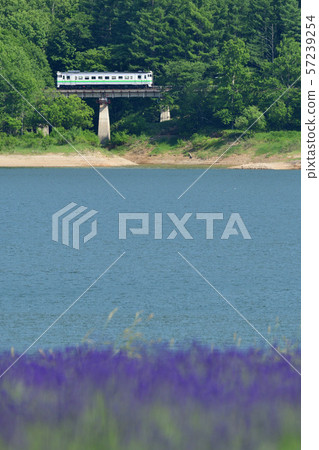 Kiha 40沿著金山湖岸邊奔跑 57239254