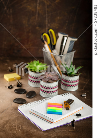 Notepad and succulents on the table. The Business Notepad and succulents on the table. The Business 57239483