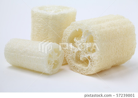 絲瓜 絲瓜 57239801