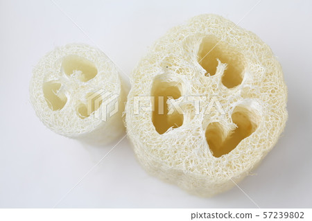 Loofah 57239802