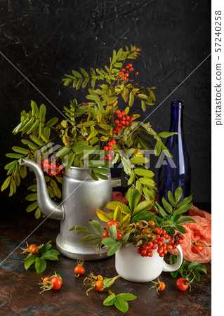 autumn still life with rowan autumn still life with rowan 57240258