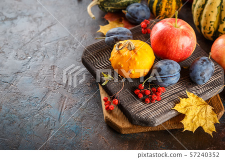 Autumn harvest stll life Autumn harvest stll life 57240352