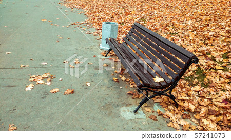 Wooden bench in the autumn in the park Side view., a background of golden leaves from the trees, in 57241073