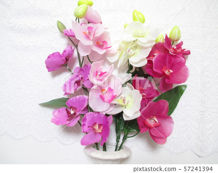 Flower arrangement of moth orchid 57241394