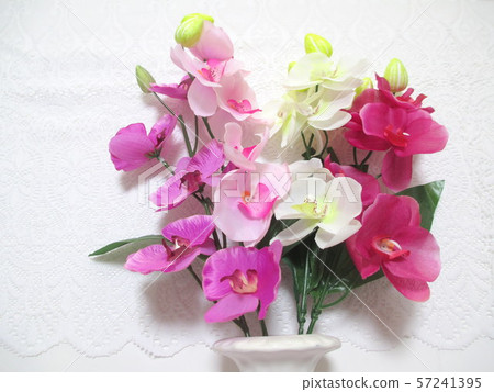 蝴蝶蘭的花的佈置 57241395
