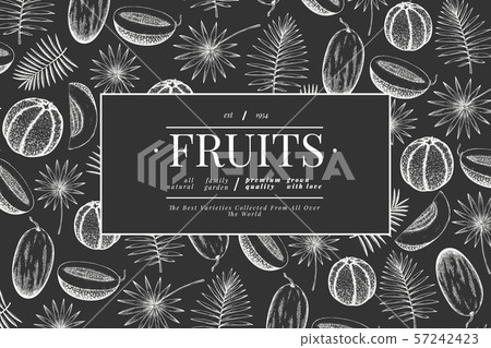 Melons and watermelons with tropical leaves design Melons and watermelons with tropical leaves design 57242423