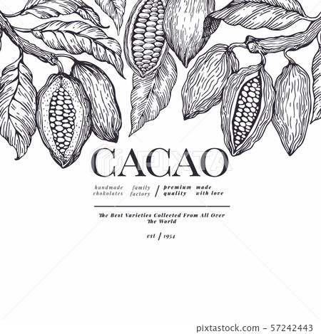 Cocoa banner template. Chocolate cocoa beans 57242443