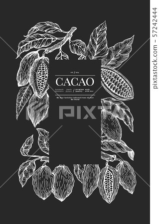 Cocoa banner template. Chocolate cocoa beans 57242444
