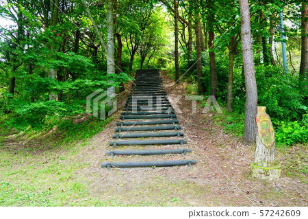 青森Misawa Citizen森林秋天顏色 57242609