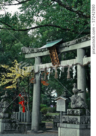 Miyake Hachimangu Shrine Kyoto Miyake Hachimangu Shrine Kyoto 57242980