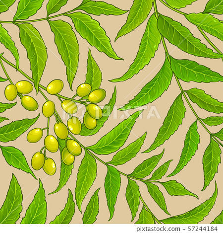 neem vector pattern 57244184