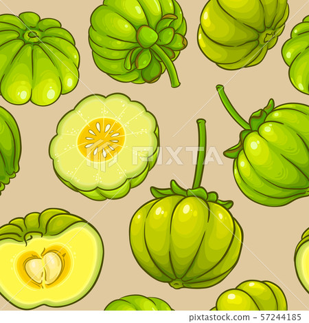 garcinia vector pattern garcinia vector pattern 57244185