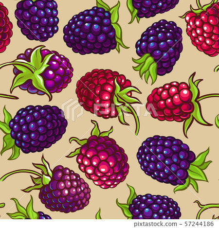 boysenberry vector pattern boysenberry vector pattern 57244186