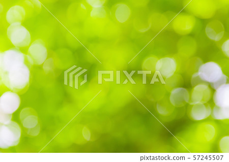green bokeh natural color abstract blurred green bokeh natural color abstract blurred 57245507