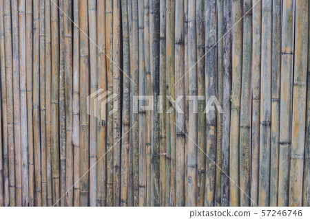 Close up of bamboo wall background texture, free space for design text or pictures 57246746