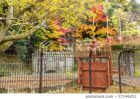 The second foliage sluice gate 57246851