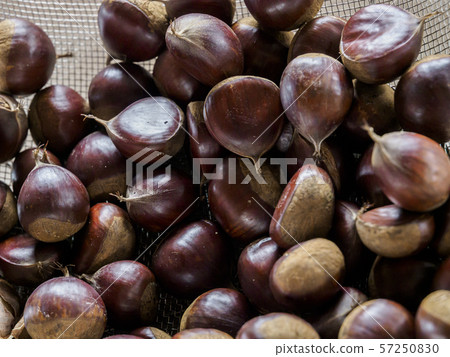 栗子收集了一些邊緣 57250830