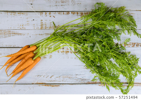 Bunch of fresh carrots with green leaves on white Bunch of fresh carrots with green leaves on white 57251494