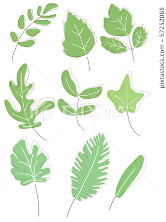 foliage, leafs, green 57252088