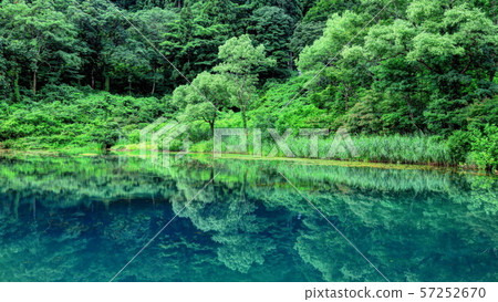 Shiraike Shiraike 57252670