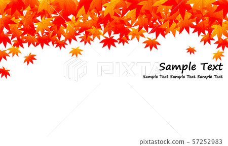 Autumn leaves background illustration Autumn leaves background illustration 57252983
