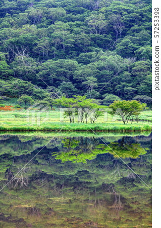Wenchang district 57253398