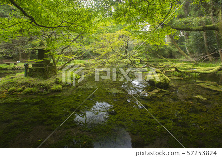 Yamabushi水源 57253824