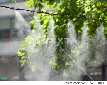 在東京丸之內中路上的干霧 57253861