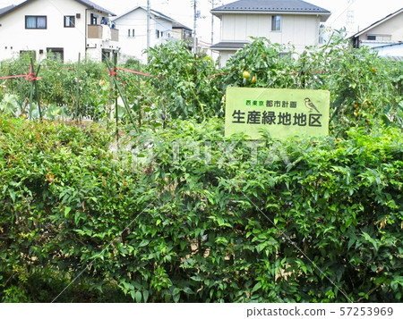 生產綠化區生產綠色區域 生產綠化區生產綠色區域 57253969