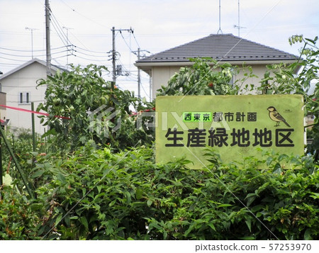 Production green area Productive green areas Production green area Productive green areas 57253970