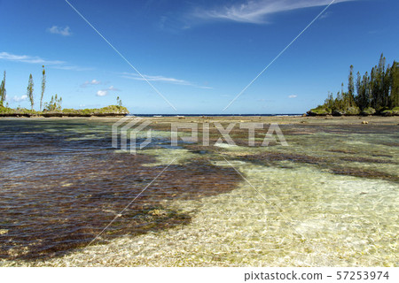 New Caledonia Loyalty Islands Male Island Mebbit Beach New Caledonia Loyalty Islands Male Island Mebbit Beach 57253974