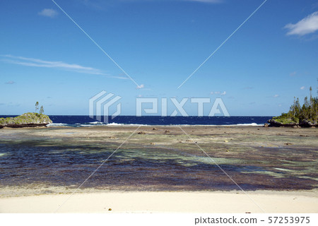 New Caledonia Loyalty Islands Male Island Mebbit Beach New Caledonia Loyalty Islands Male Island Mebbit Beach 57253975