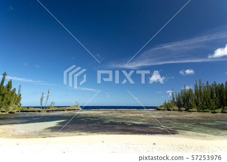 New Caledonia Loyalty Islands Male Island Mebbit Beach New Caledonia Loyalty Islands Male Island Mebbit Beach 57253976