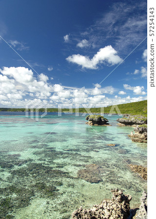 新喀裡多尼亞Loyalty Islands男島低海岸Sedai 57254143