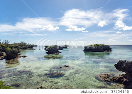 New Caledonia Loyalty Islands Male Island Low Coast Sedai 57254146