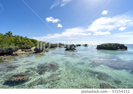 New Caledonia Loyalty Islands Male Island Low Coast Sedai New Caledonia Loyalty Islands Male Island Low Coast Sedai 57254152