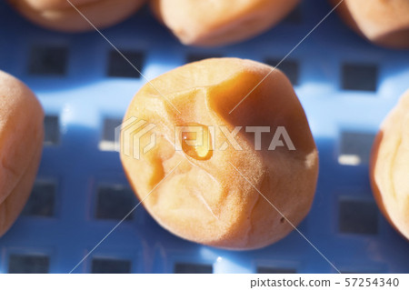咸梅 咸梅 57254340