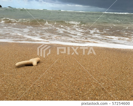 一個海灘 一個海灘 57254600