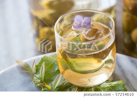 梅酒 57254610