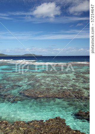New Caledonia Loyalty Islands Male Island Coral Reef on Tadine Coast 57254647