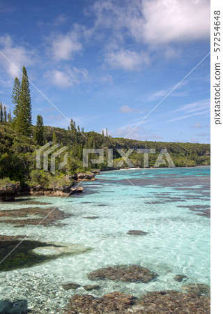 New Caledonia Loyalty Islands Male Island Coral Reef on Tadine Coast 57254648