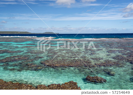 New Caledonia Loyalty Islands Male Island Coral Reef on Tadine Coast 57254649