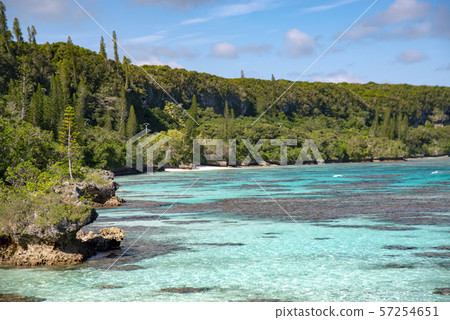 New Caledonia Loyalty Islands Male Island Coral Reef on Tadine Coast 57254651
