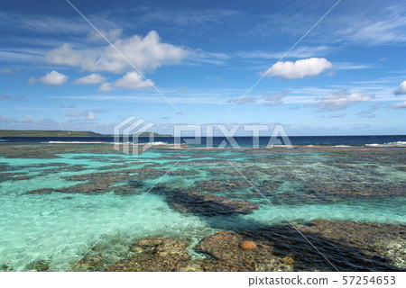 New Caledonia Loyalty Islands Male Island Coral Reef on Tadine Coast 57254653