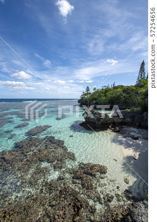 New Caledonia Loyalty Islands Male Island Coral Reef on Tadine Coast 57254656
