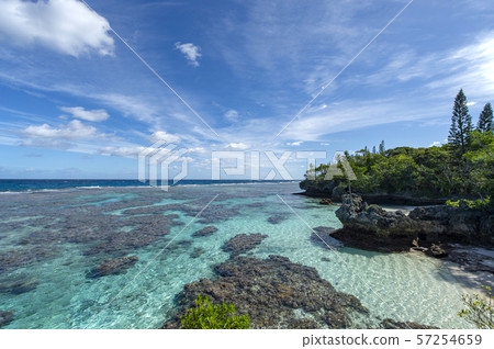New Caledonia Loyalty Islands Male Island Coral Reef on Tadine Coast 57254659