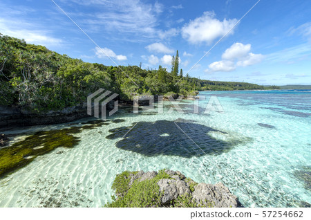 新喀裡多尼亞Loyalty Islands男性島珊瑚礁在Tadine海岸 新喀裡多尼亞Loyalty Islands男性島珊瑚礁在Tadine海岸 57254662