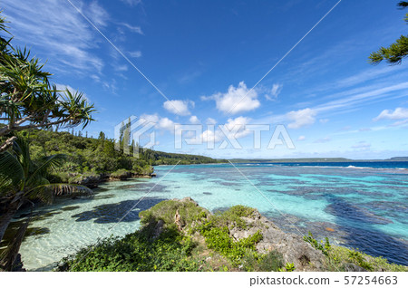New Caledonia Loyalty Islands Male Island Coral Reef on Tadine Coast 57254663