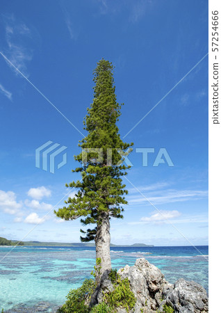 New Caledonia Loyalty Islands Male Island 57254666